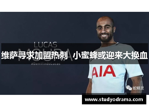 维萨寻求加盟热刺  小蜜蜂或迎来大换血